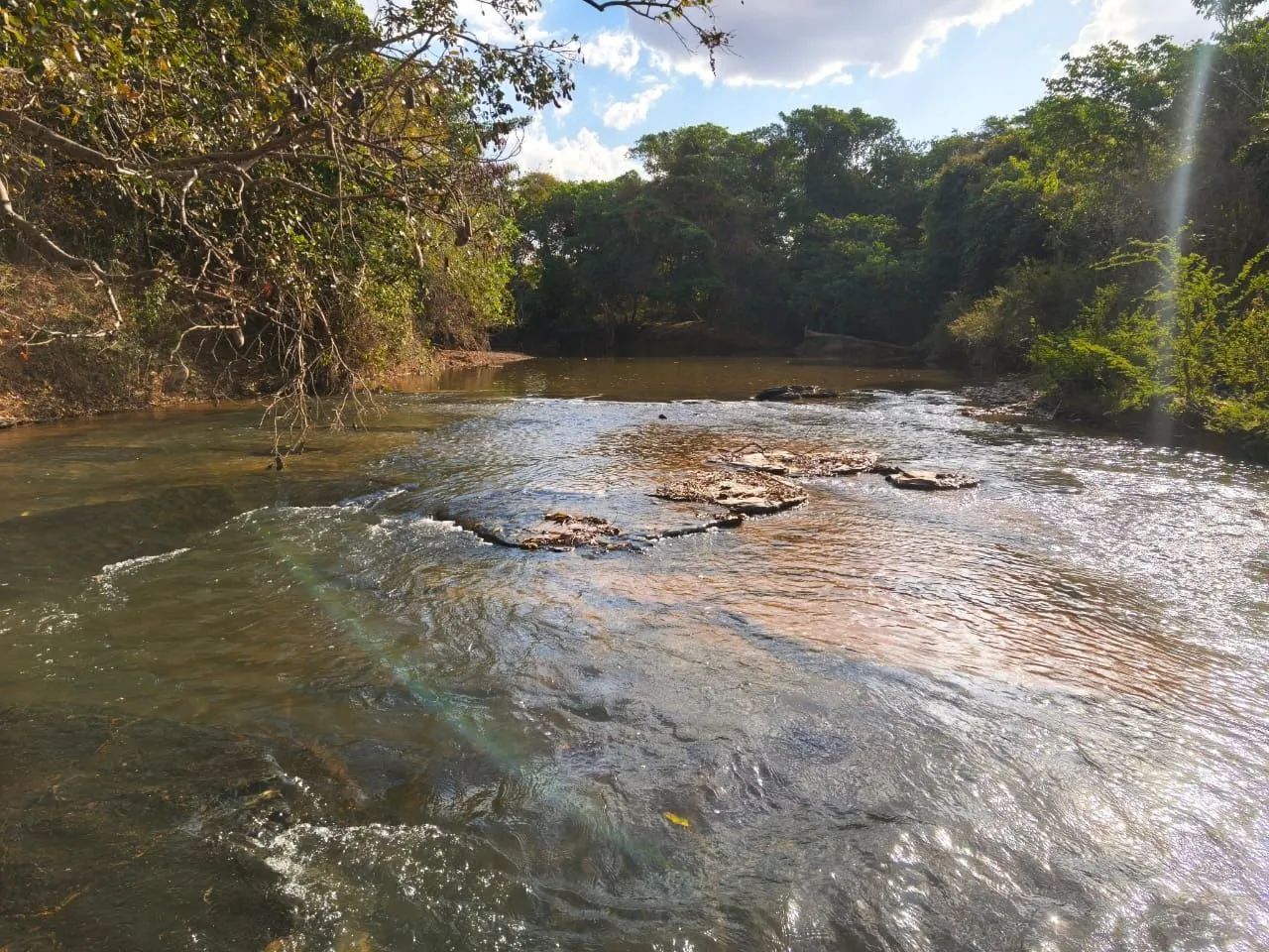 Fazendinha em Bonfinopolis de Minas