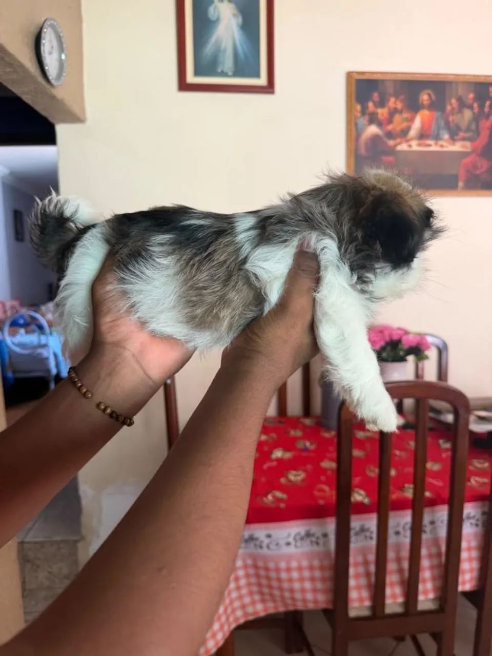 Vende-se - Foto 5