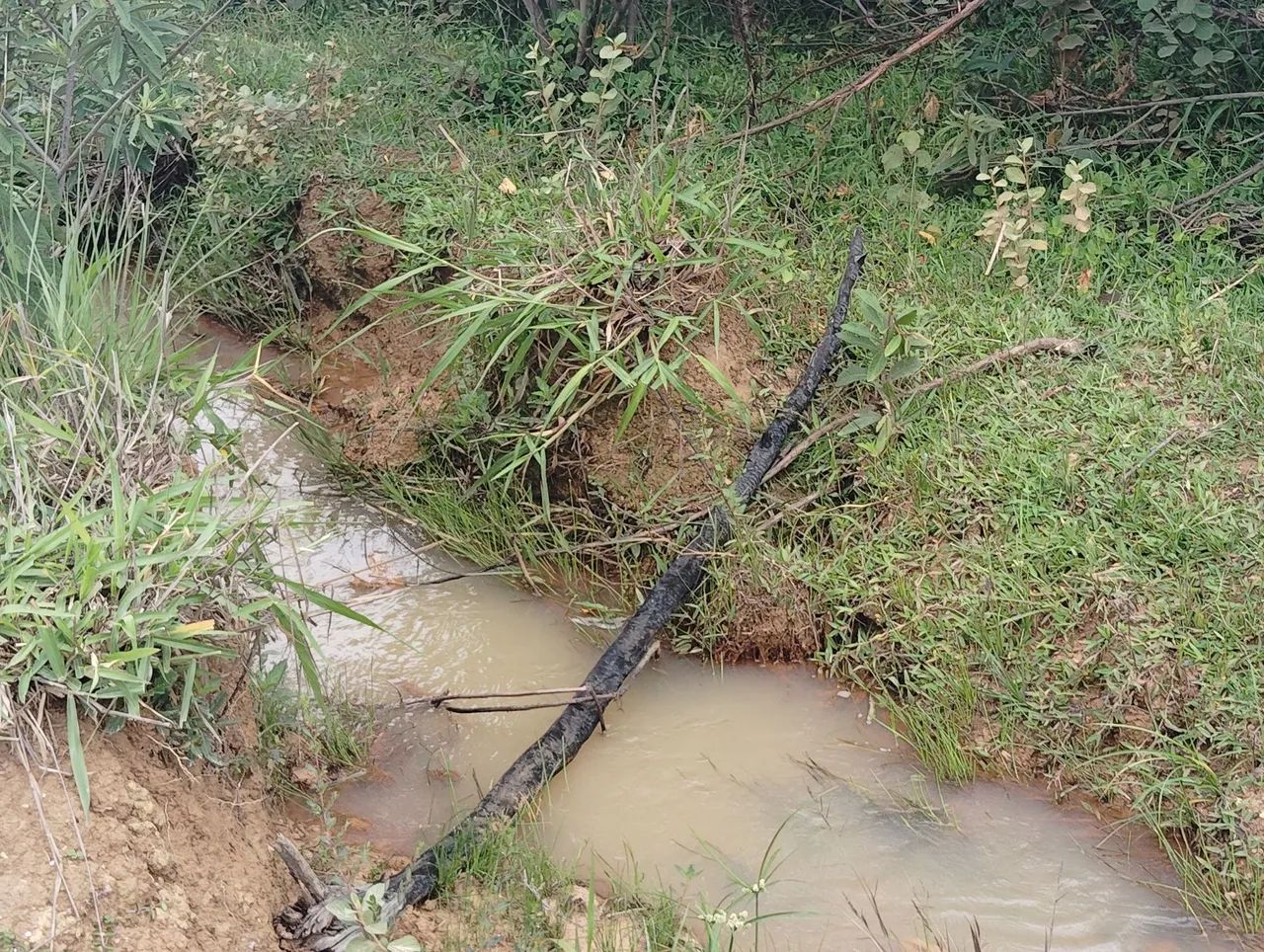 Lote 2000 MTS 5,000 São José de Almeida  - Foto 11