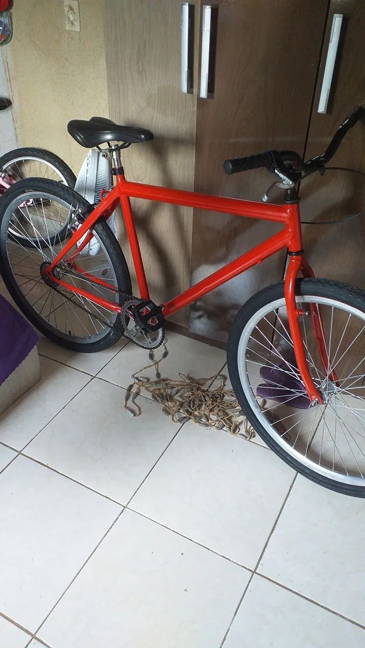 Bicicleta