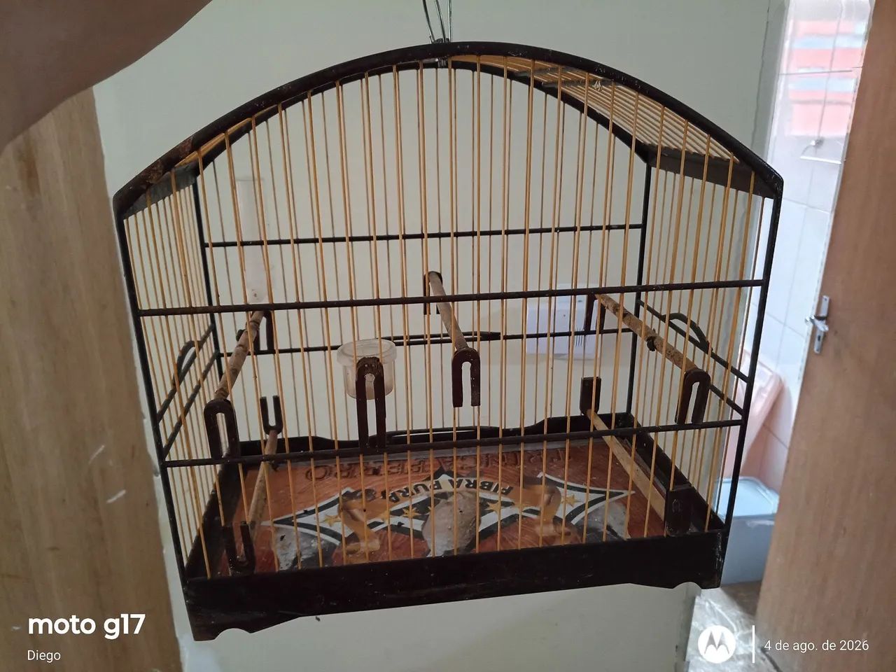 Gaiola de passeio  - Foto 2