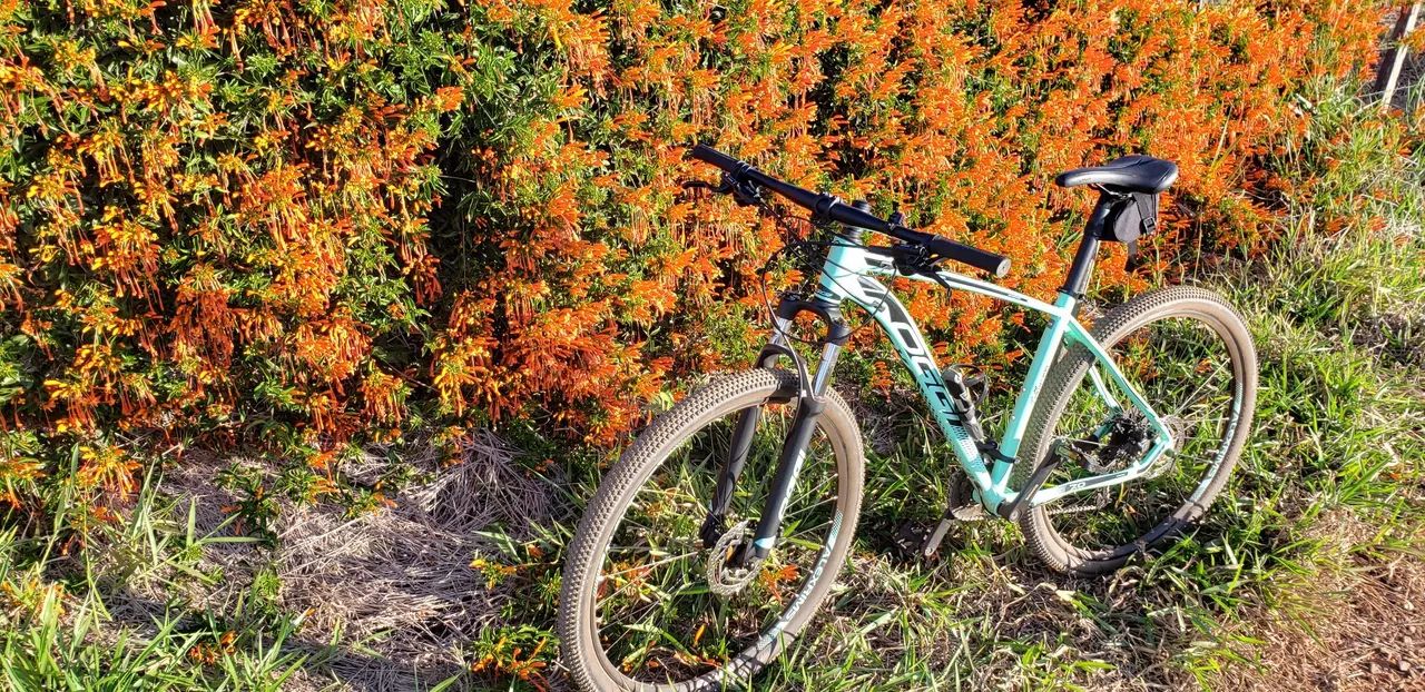 Oggi Big Wheel 7.0 2021 Cor Verde - Foto 5