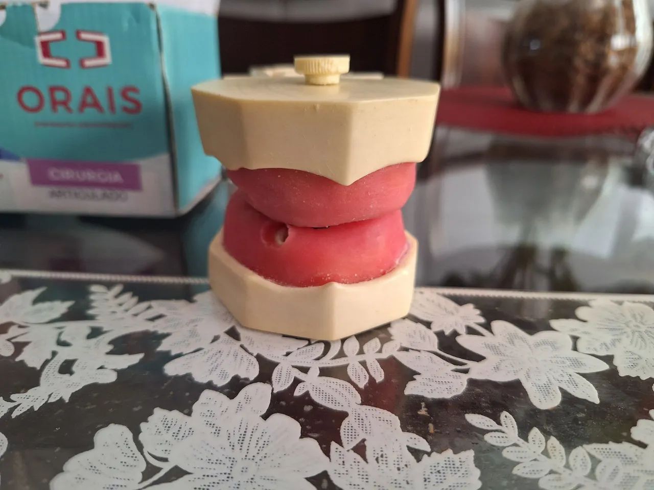 Manequim de Cirurgia Orais - Foto 5
