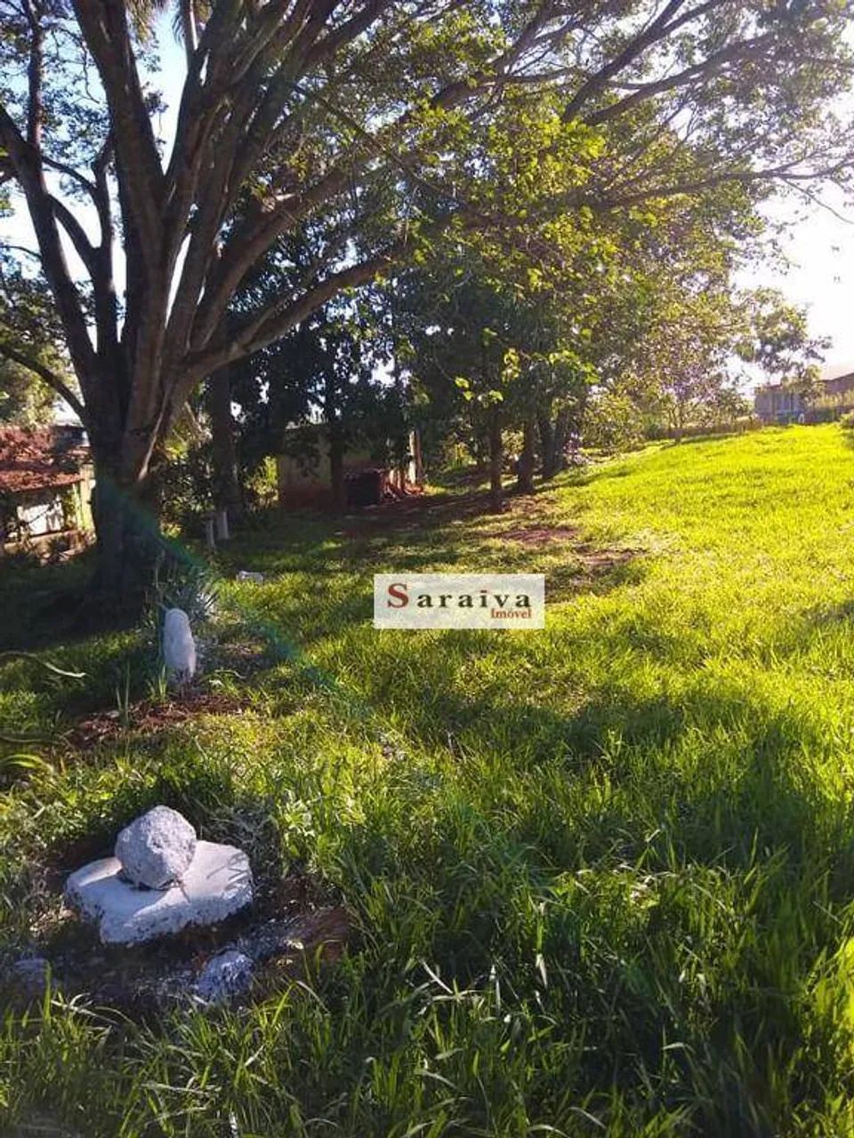 Chácara com 3 dormitórios à venda, 24000 m² por R$ 575.000,00 - Rodovia - Itapuí/SP - Foto 2