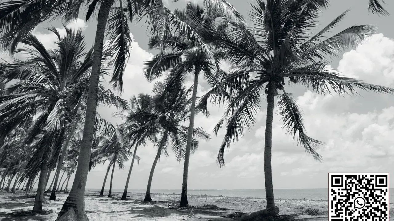 JAPARATINGA - BANGALÔ com 250 m² com 4 quartos frente mar e garagem para barcos - Foto 4