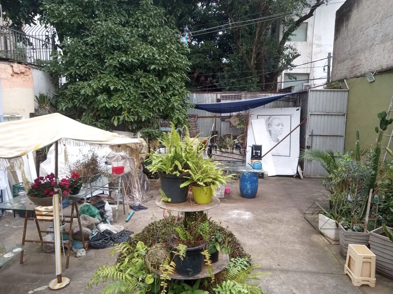 TERRENO A VENDA EM PINHEIROS - Foto 3