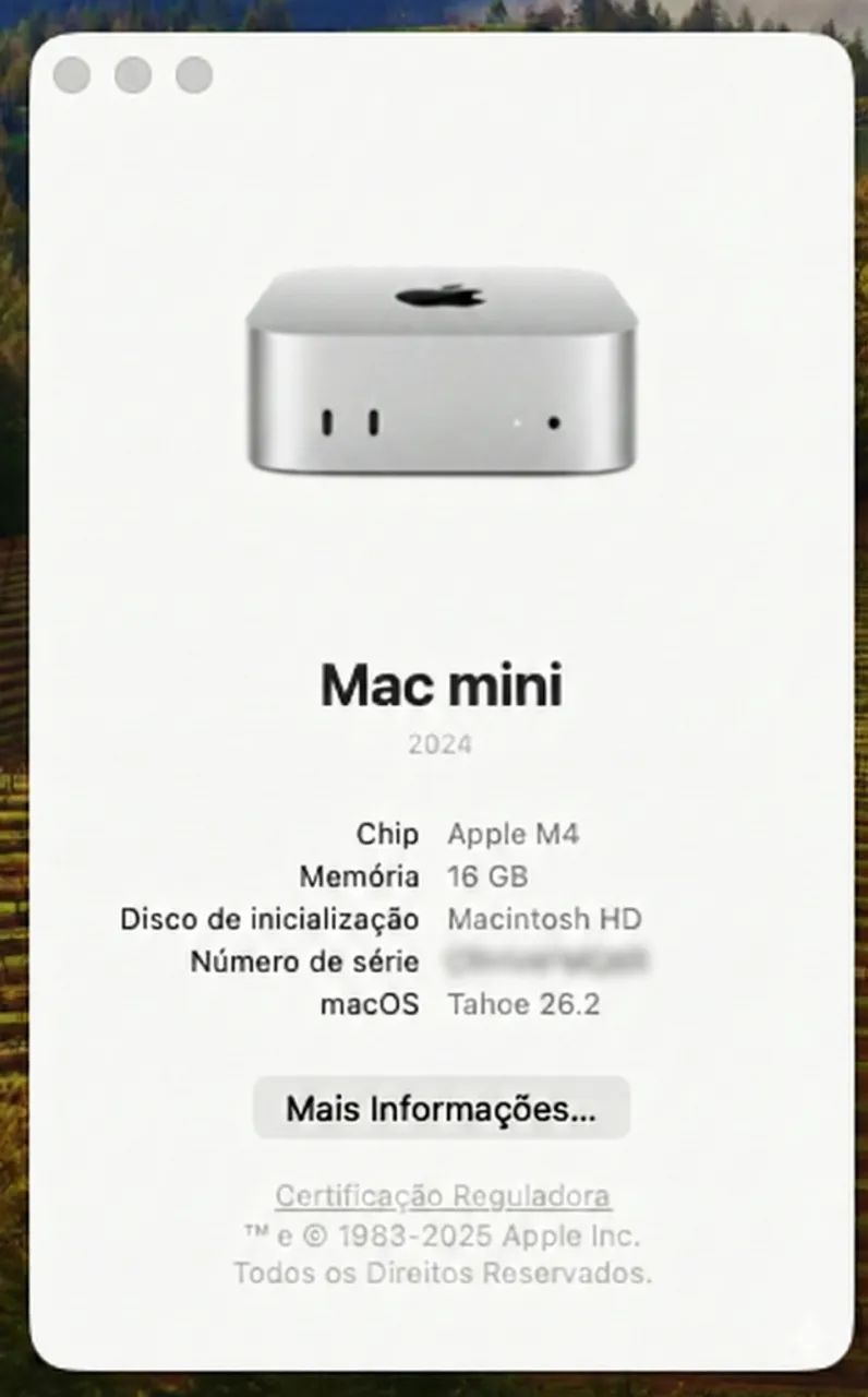 Mac Mini | M4 16g RAM 256gb SSD | NA GARANTIA! - Computadores e