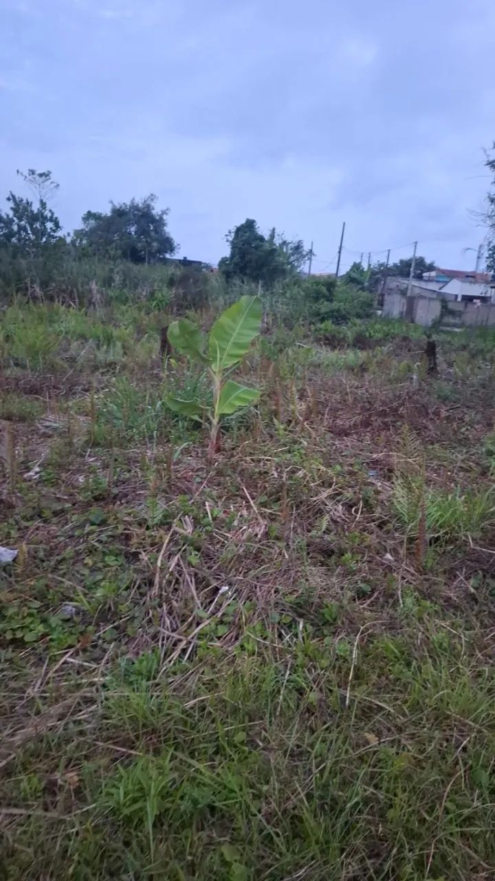 Primeira imagem do imóvel