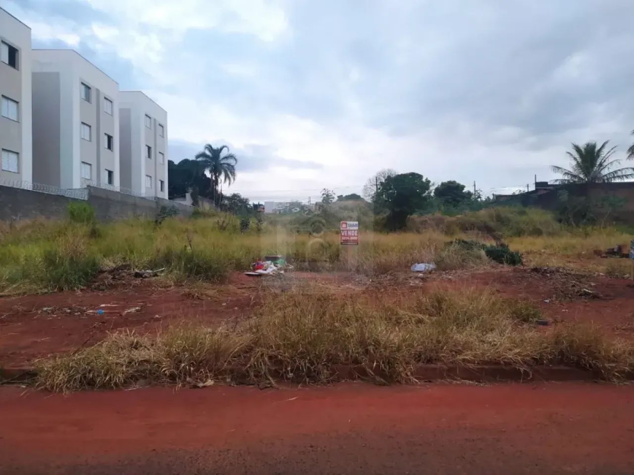 Terreno Para Venda No Bairro Aclimação - Foto 4