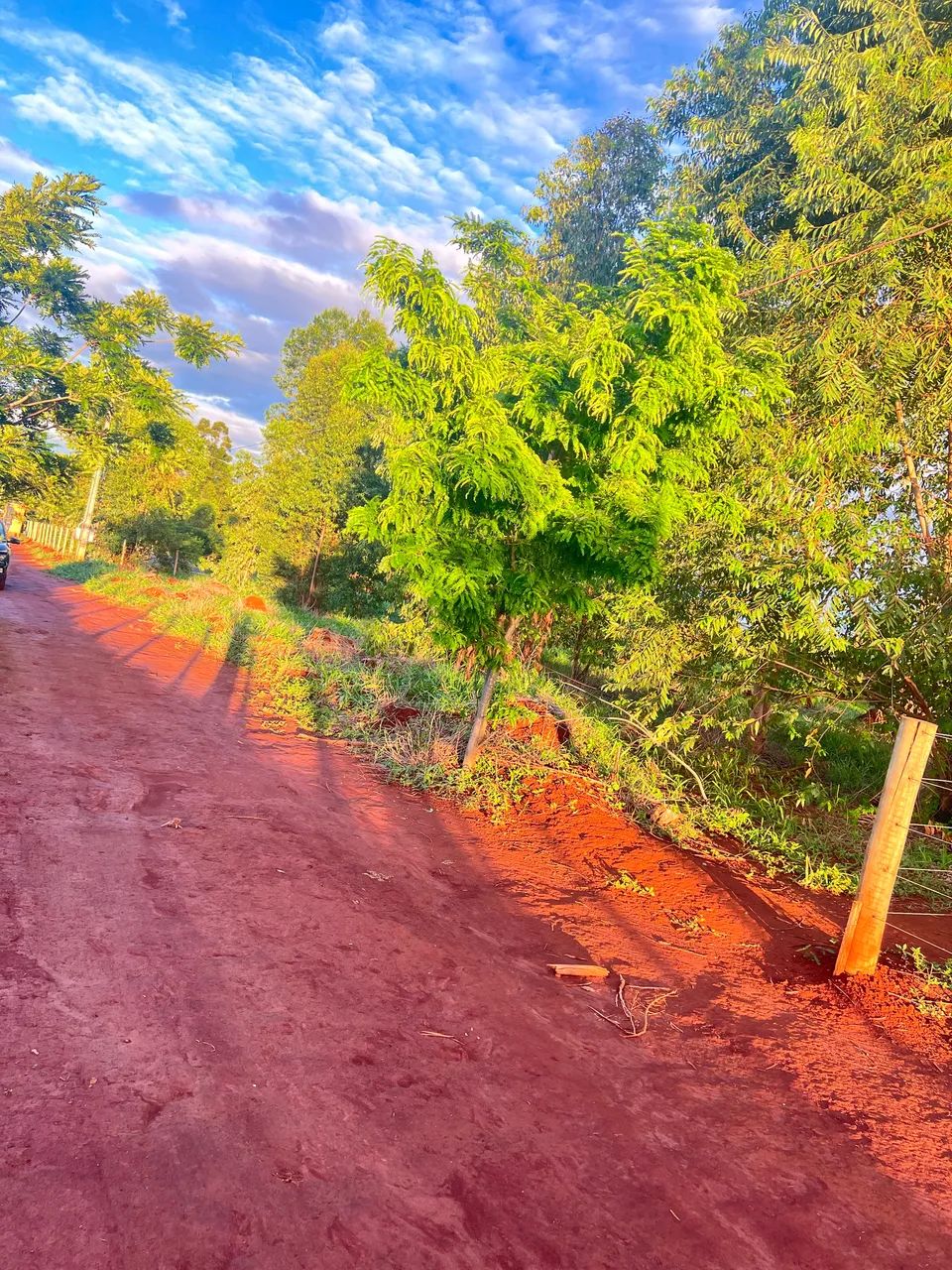 Foto - Goiânia - Setor Cândida de Morais