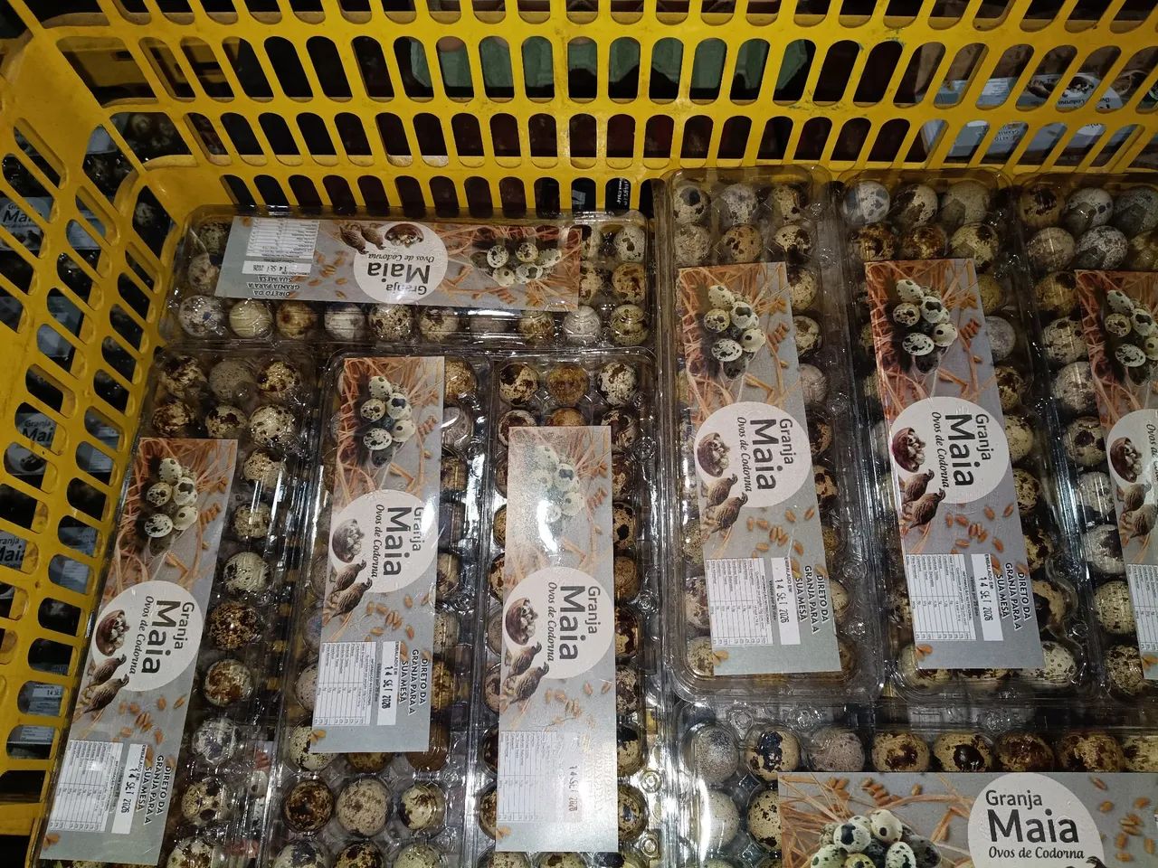 Ovos de Codornas para Revenda - Foto 2