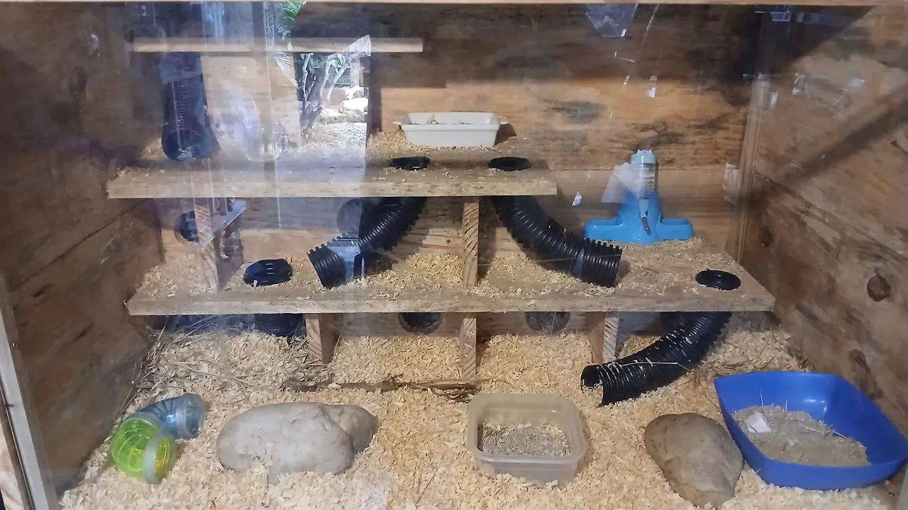 Gaiola Viveiro ternário hamster 