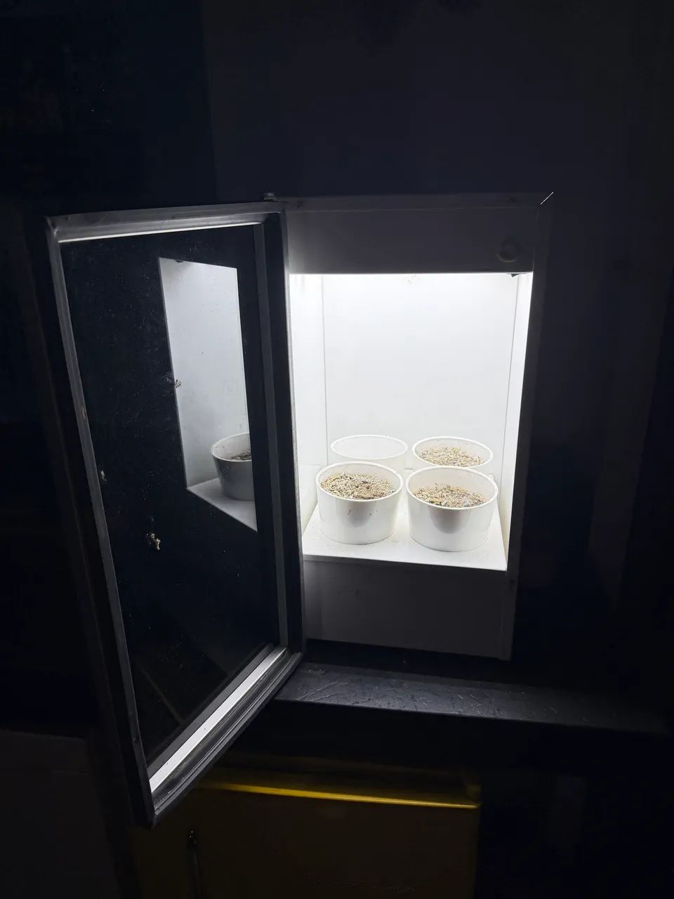 Plantario com iluminação automática  - Foto 4
