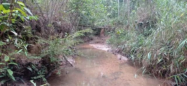 Chácara com casa córrego troca Girassol aceito carro - Foto 3