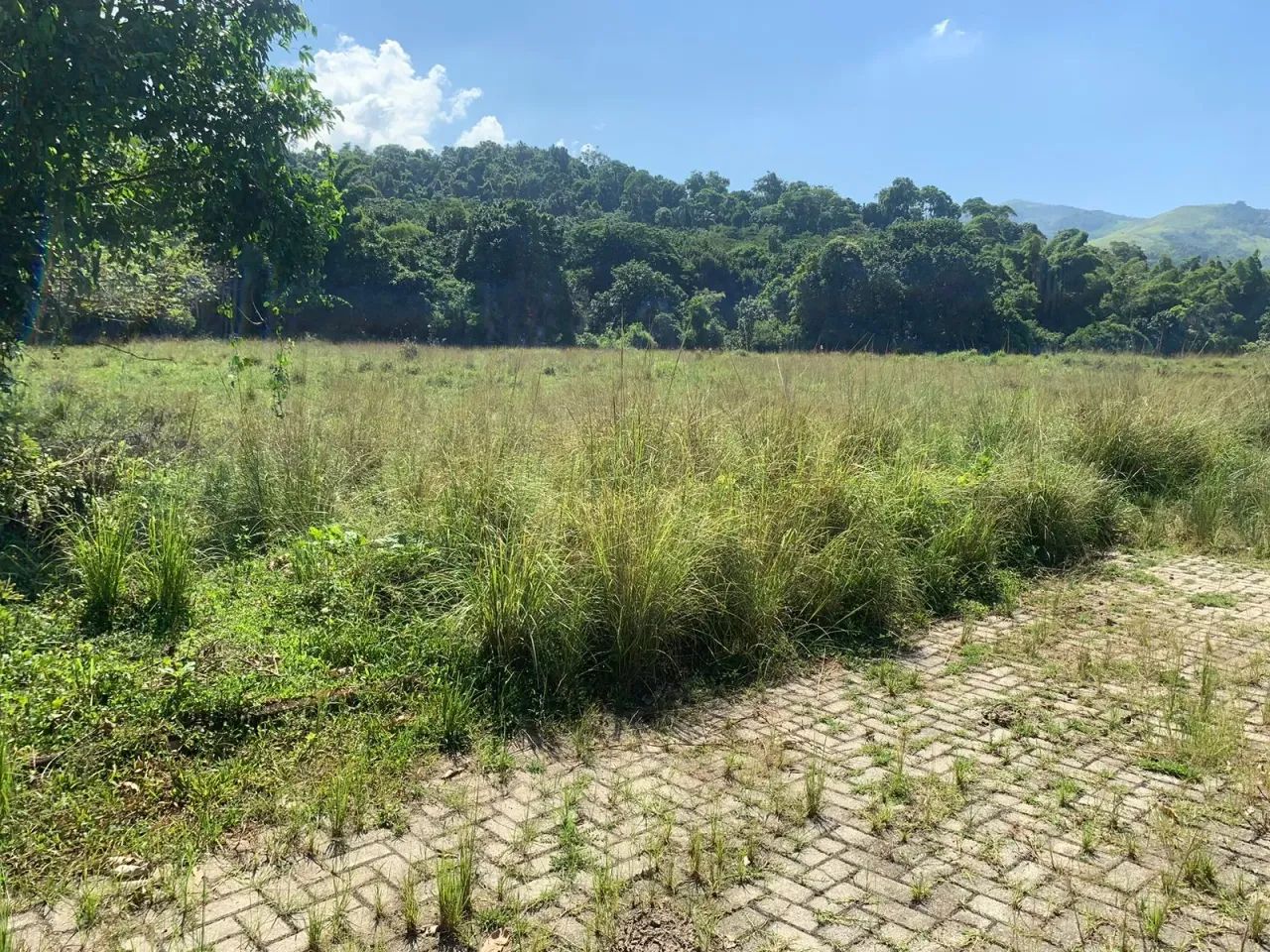 Terreno para venda em Xerém. - Foto 2