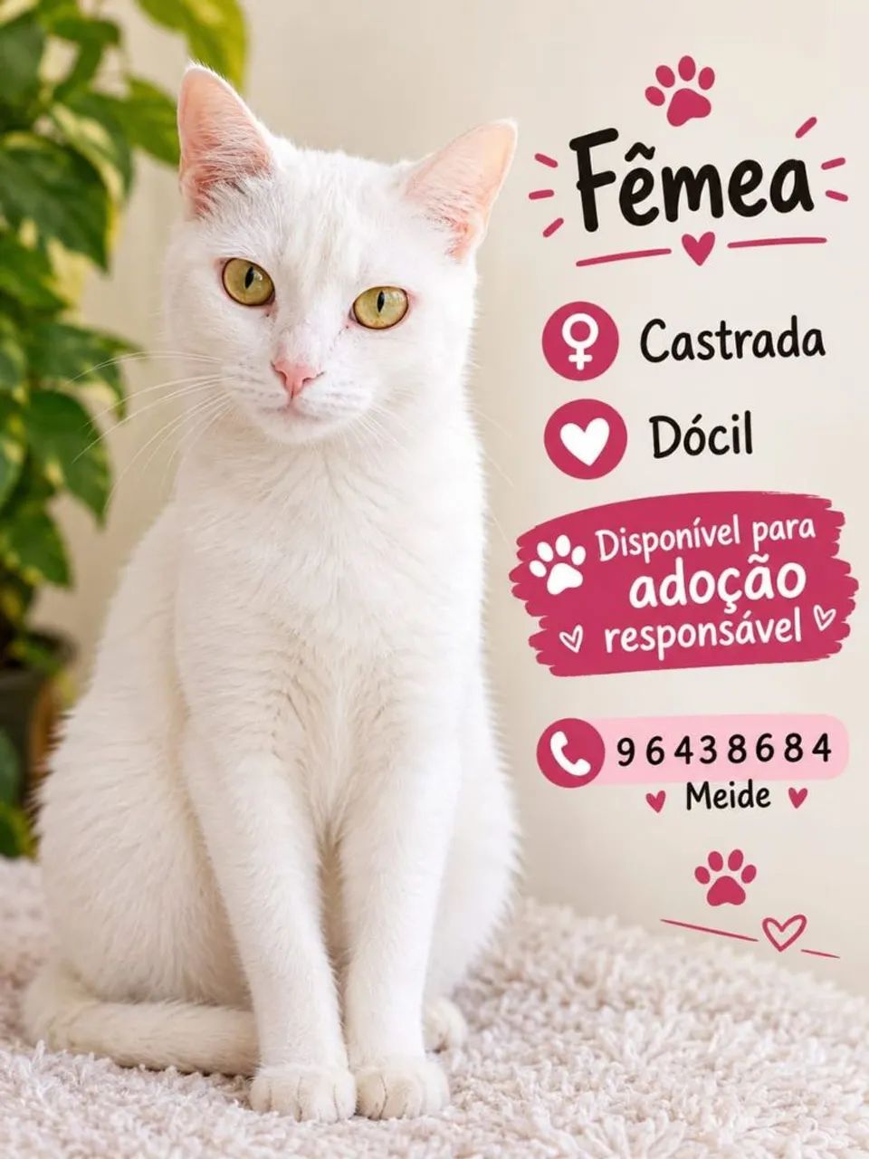 4 FOFULAS PARA ADOÇÃO 