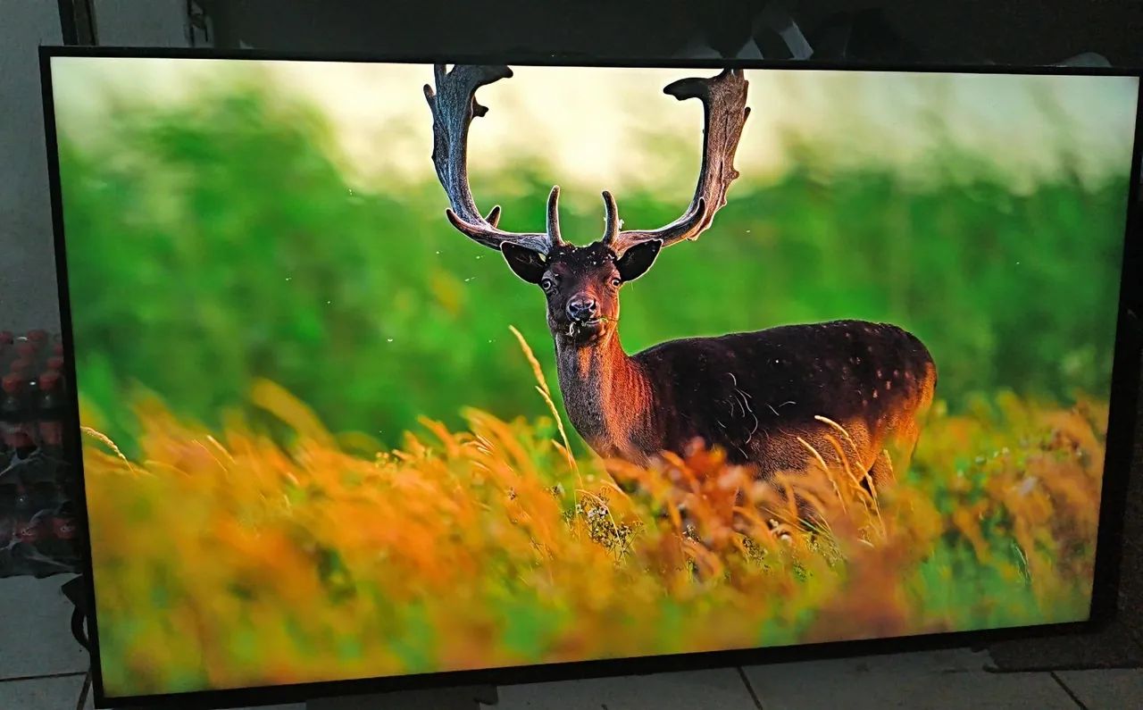 TV SMART LG 4K 60 POLEGADAS  - Foto 3
