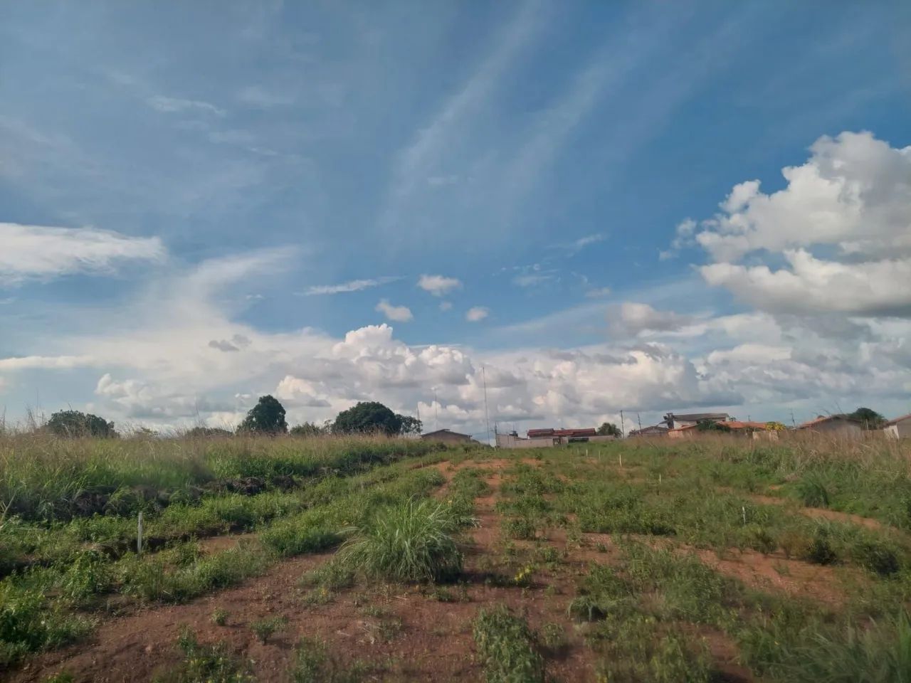Terreno em Goianesia do Pará  - Foto 4
