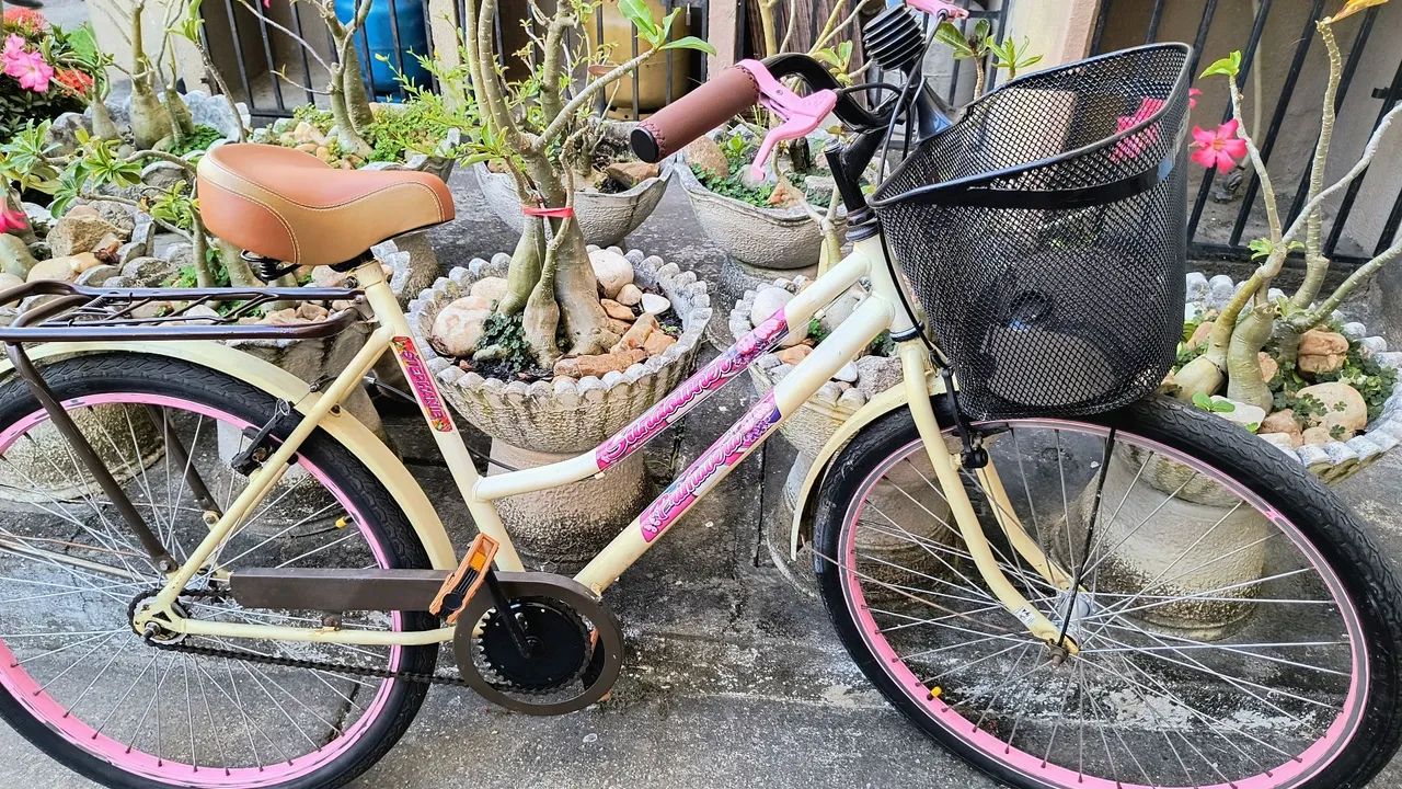 BICICLETA RETRÔ  - Foto 4