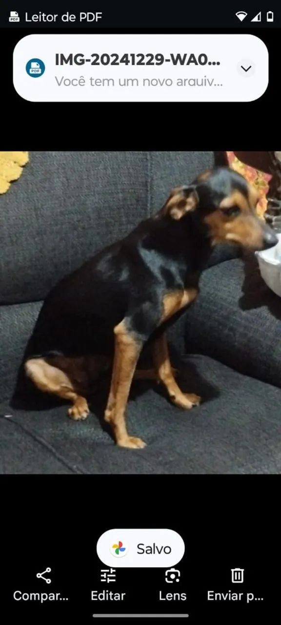 Doa-se 