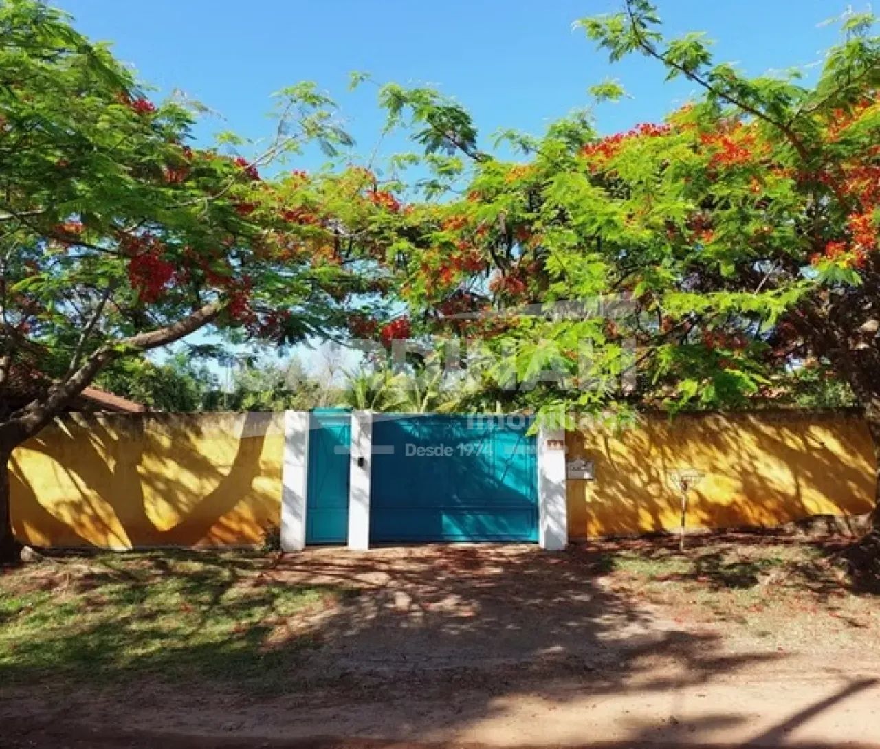 CHÁCARA À VENDA - Foto 5