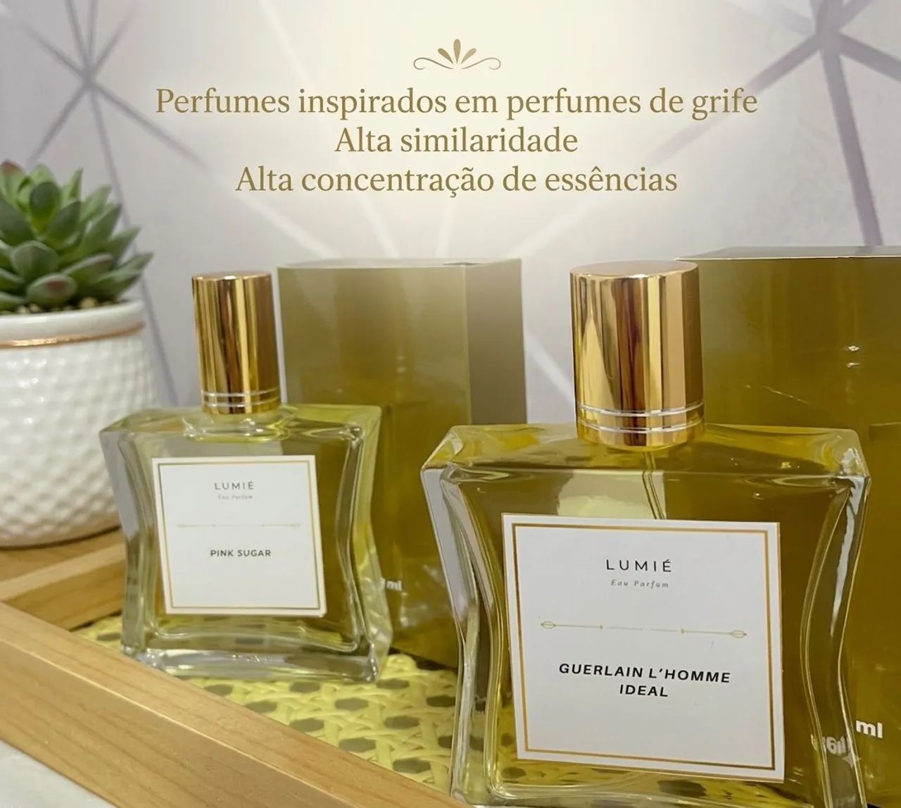 Perfumes masculinos e femininos 