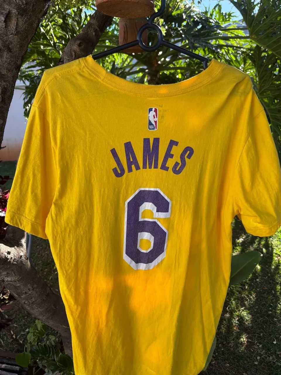 Camiseta Lakers Lebron 6 G 