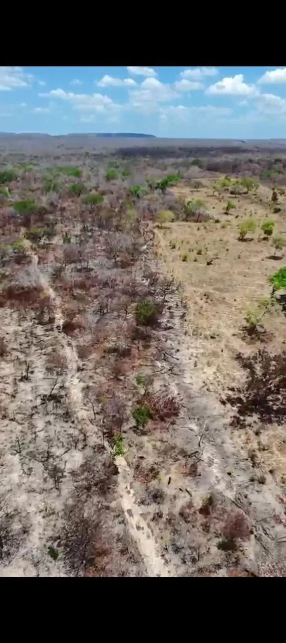 1.000 ha a venda no Piauí  - Foto 3