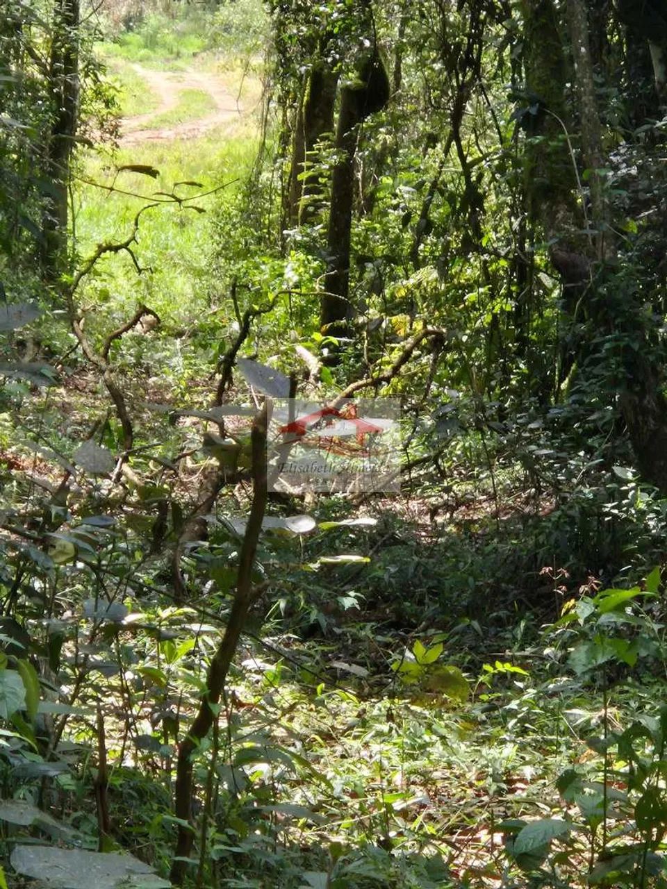 Chácara, caminho Vila Elvio- Piedade - R$ 60 mil, - Foto 3