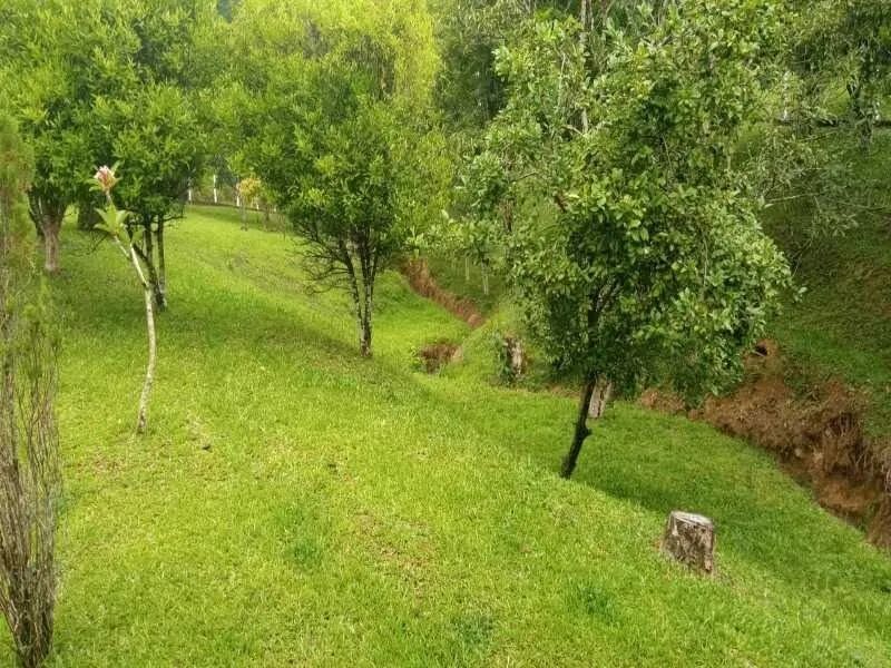 Terreno APIÚNA - SC - Foto 4