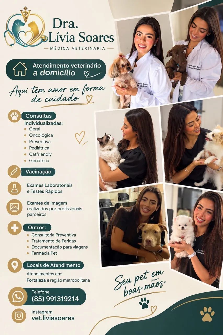 Atendimento veterinário 