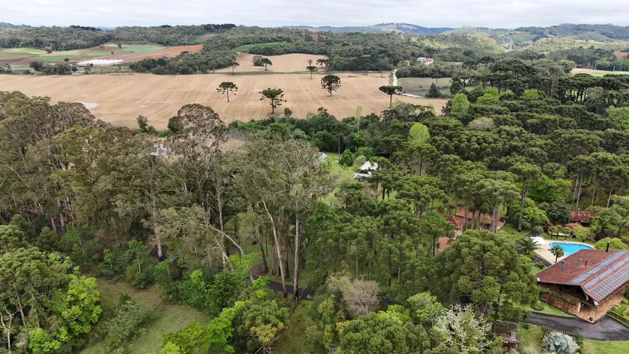 EU ESTOU VENDENDO MINHA CHÁCARA   - Foto 2