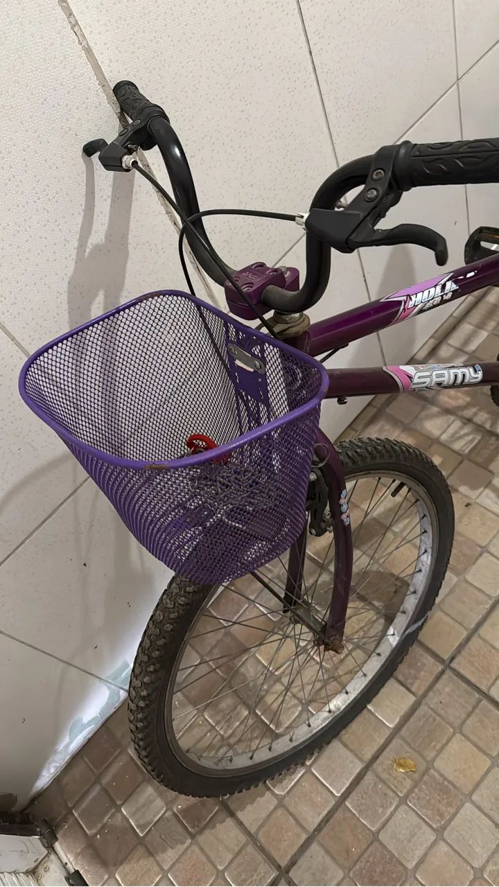 Bicicleta feminina Aro 24