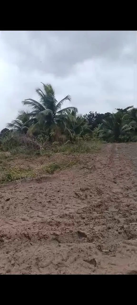 Vendesse terreno - Foto 2