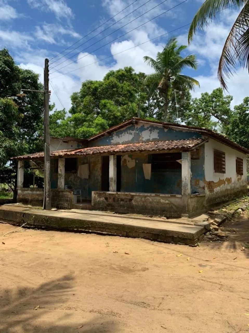 Sítio Rural à venda, Centro, Alhandra - . - Foto 4