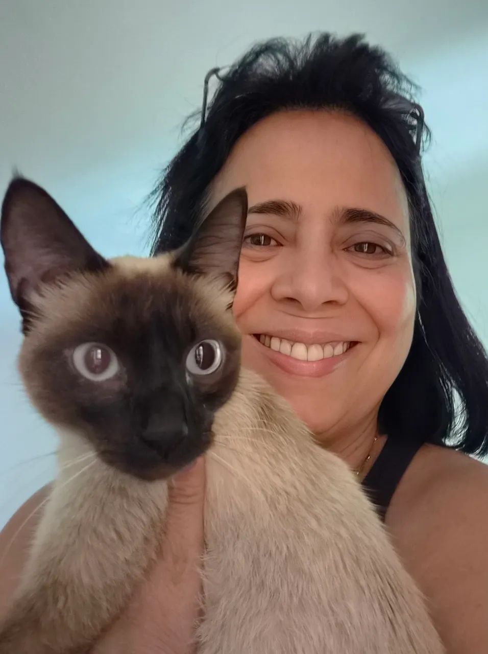 Adoção responsável.