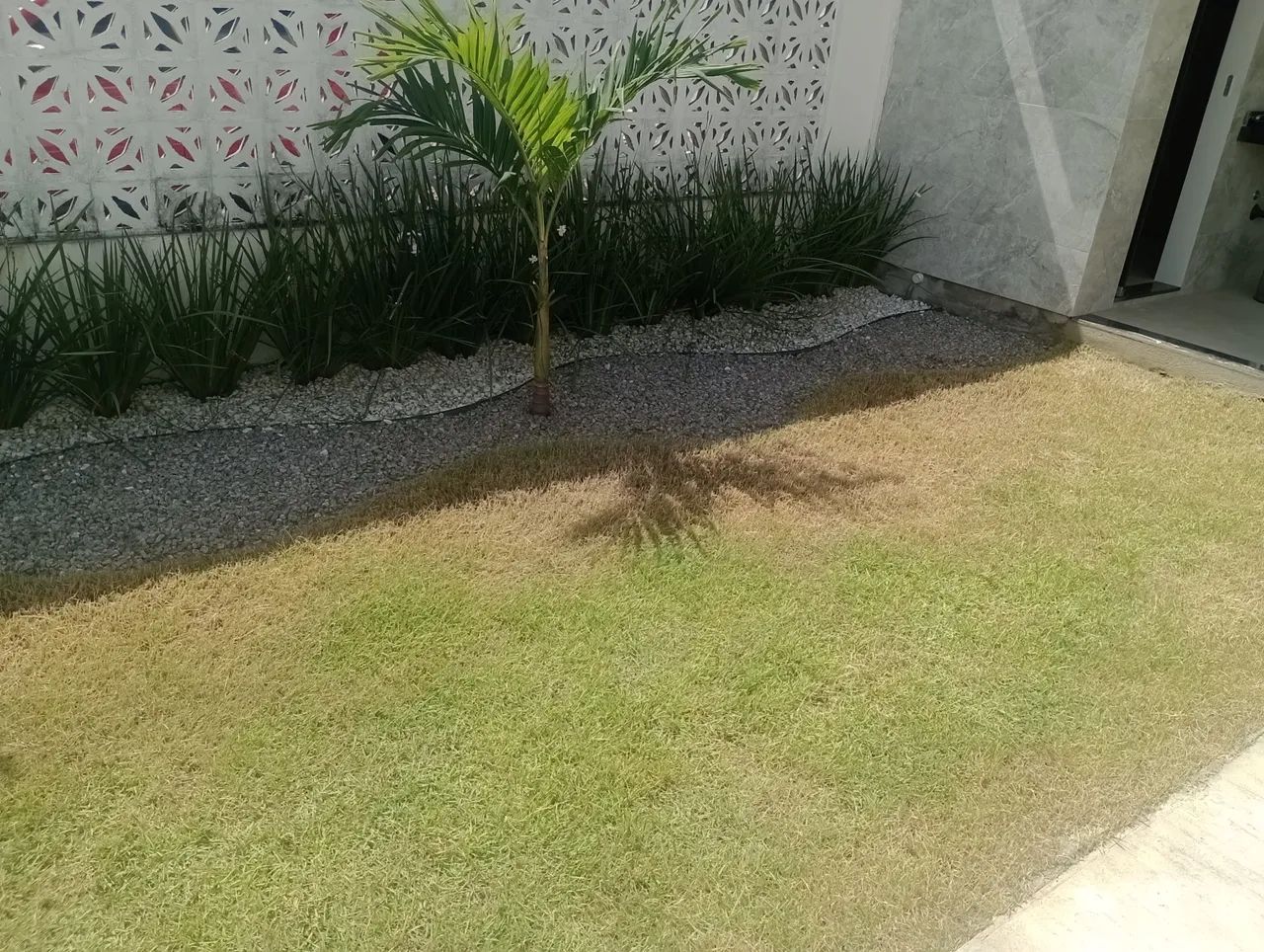 Jardineiro  - Foto 4