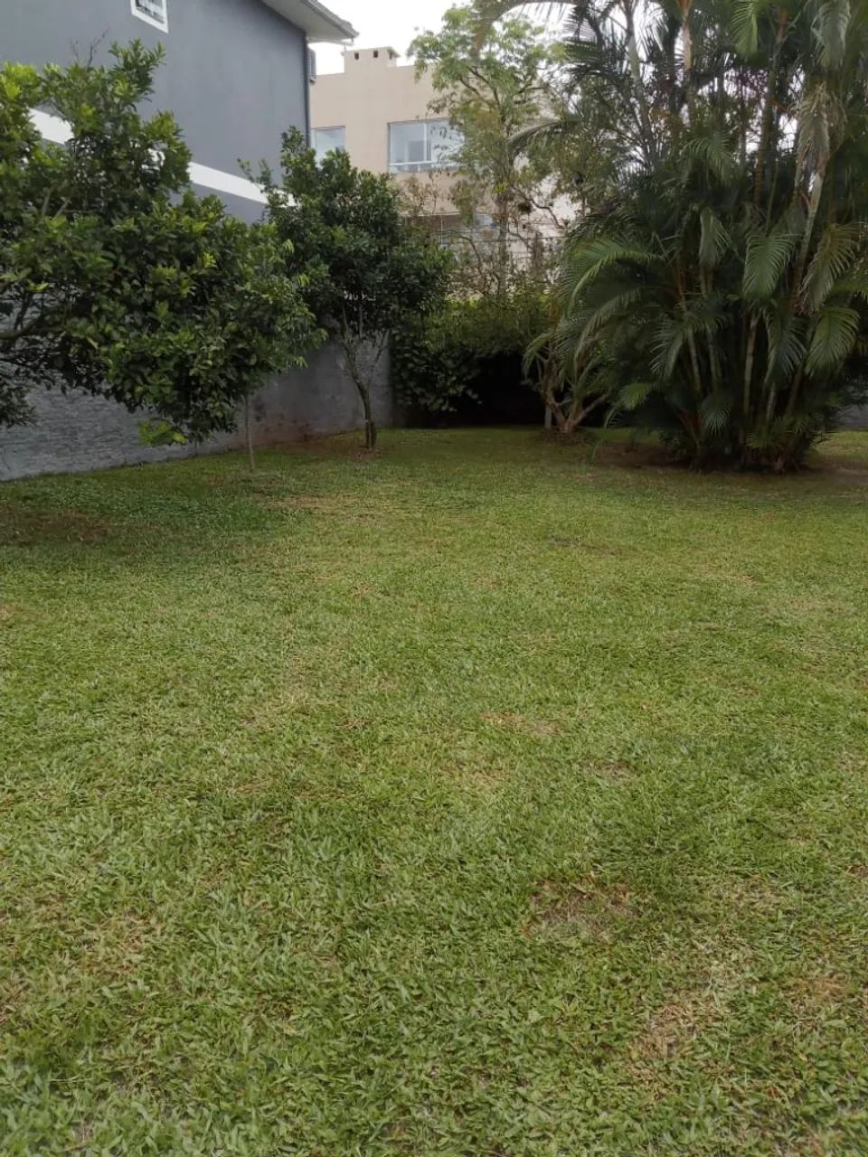 Casa térrea com 2 dormitórios + amplo quintal no Bairro dos Ingleses! Confira! - Foto 5