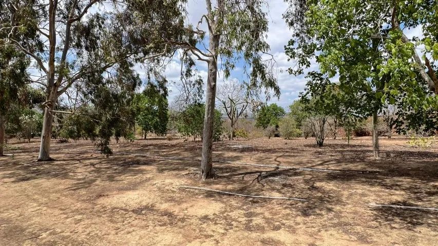 Terreno a venda em Gravatá - Foto 4