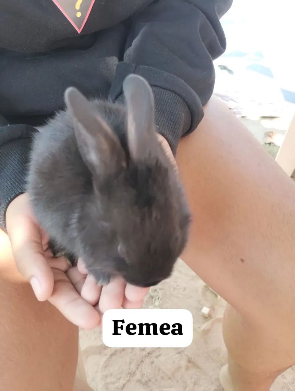 Vendo  - Foto 4