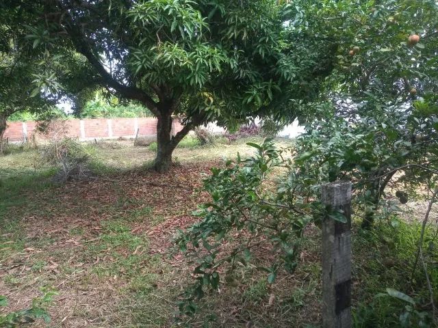 Foto - Maricá - Mumbuca