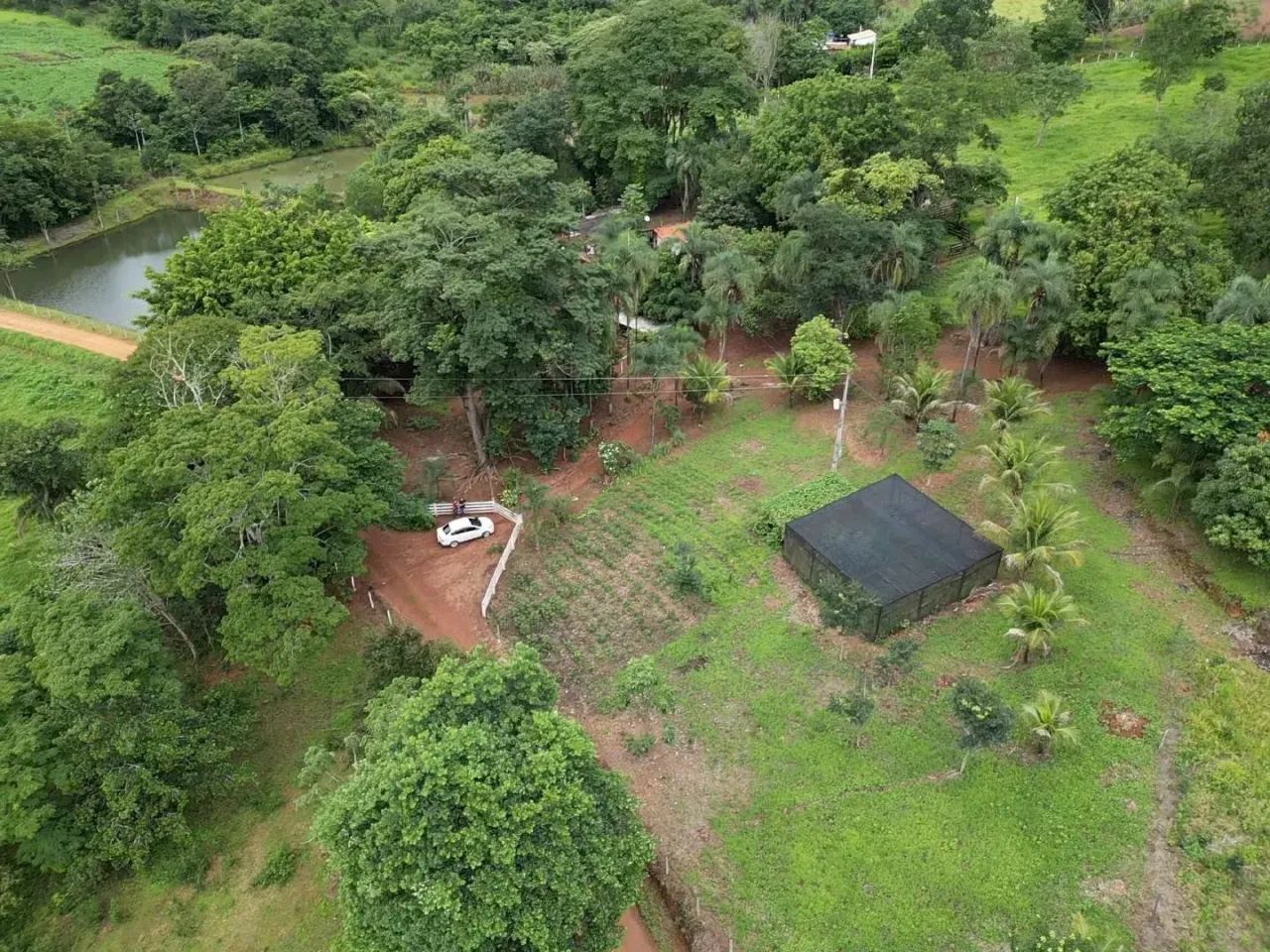 fazenda sao miguel passa quatro