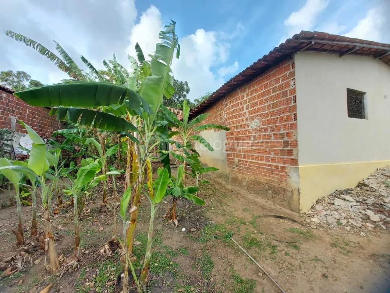 Sitio em São José de Mipibu - Foto 5