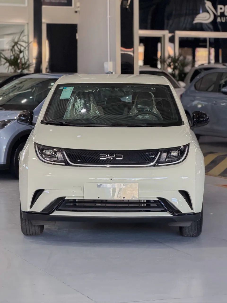 BYD Dolphin GS (Elétrico) 2027 - Foto 3