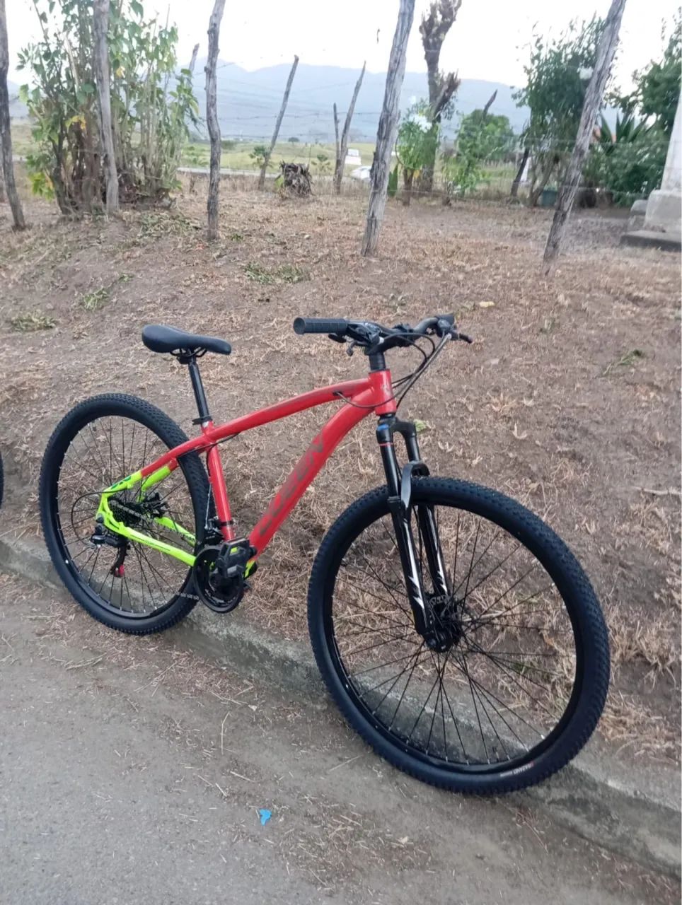 Bike 29?