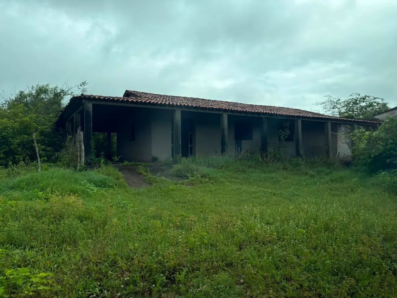 Area de 30 hectares para venda - Foto 5