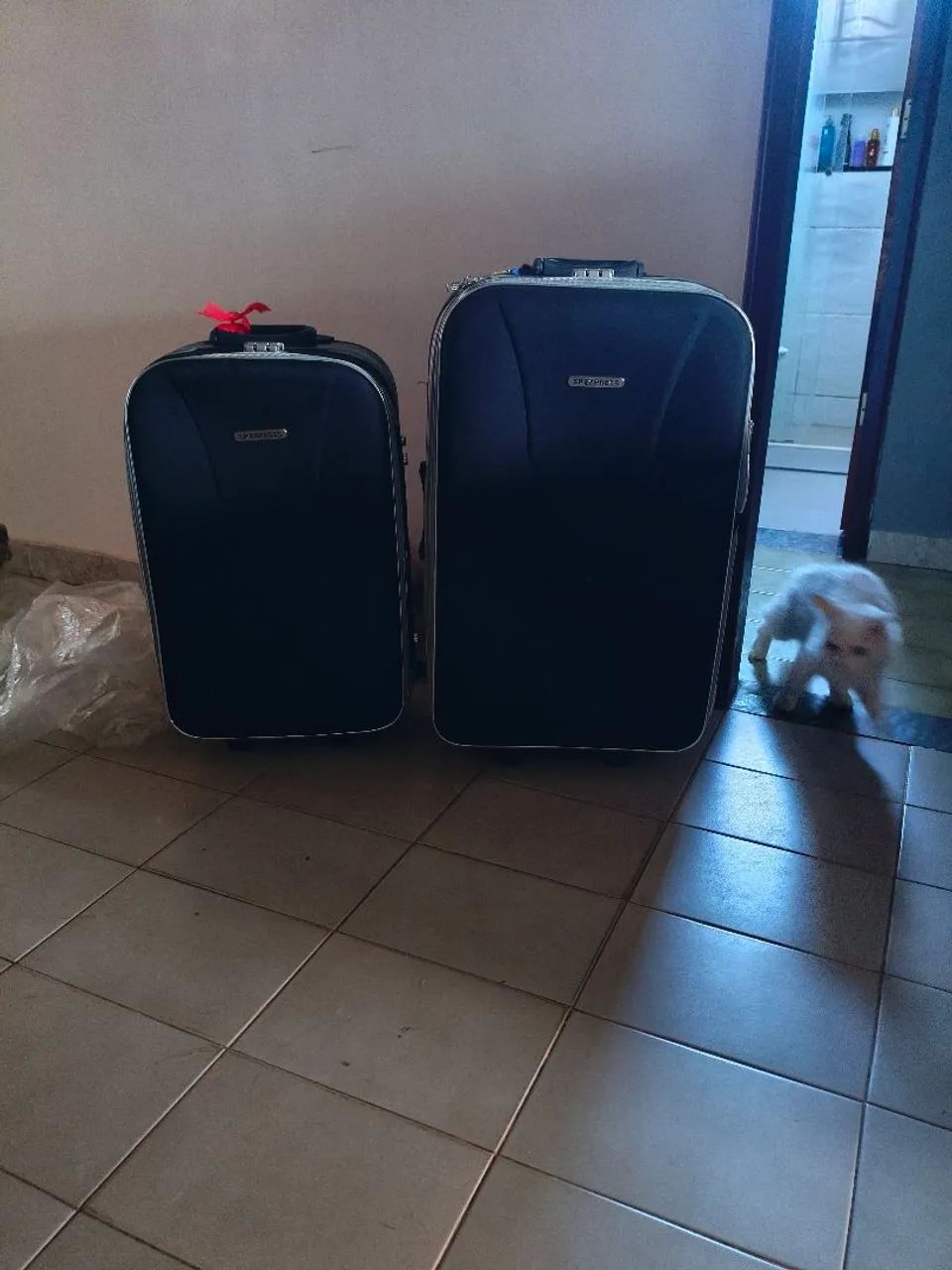 Kit Mala de Viagem  - Foto 3