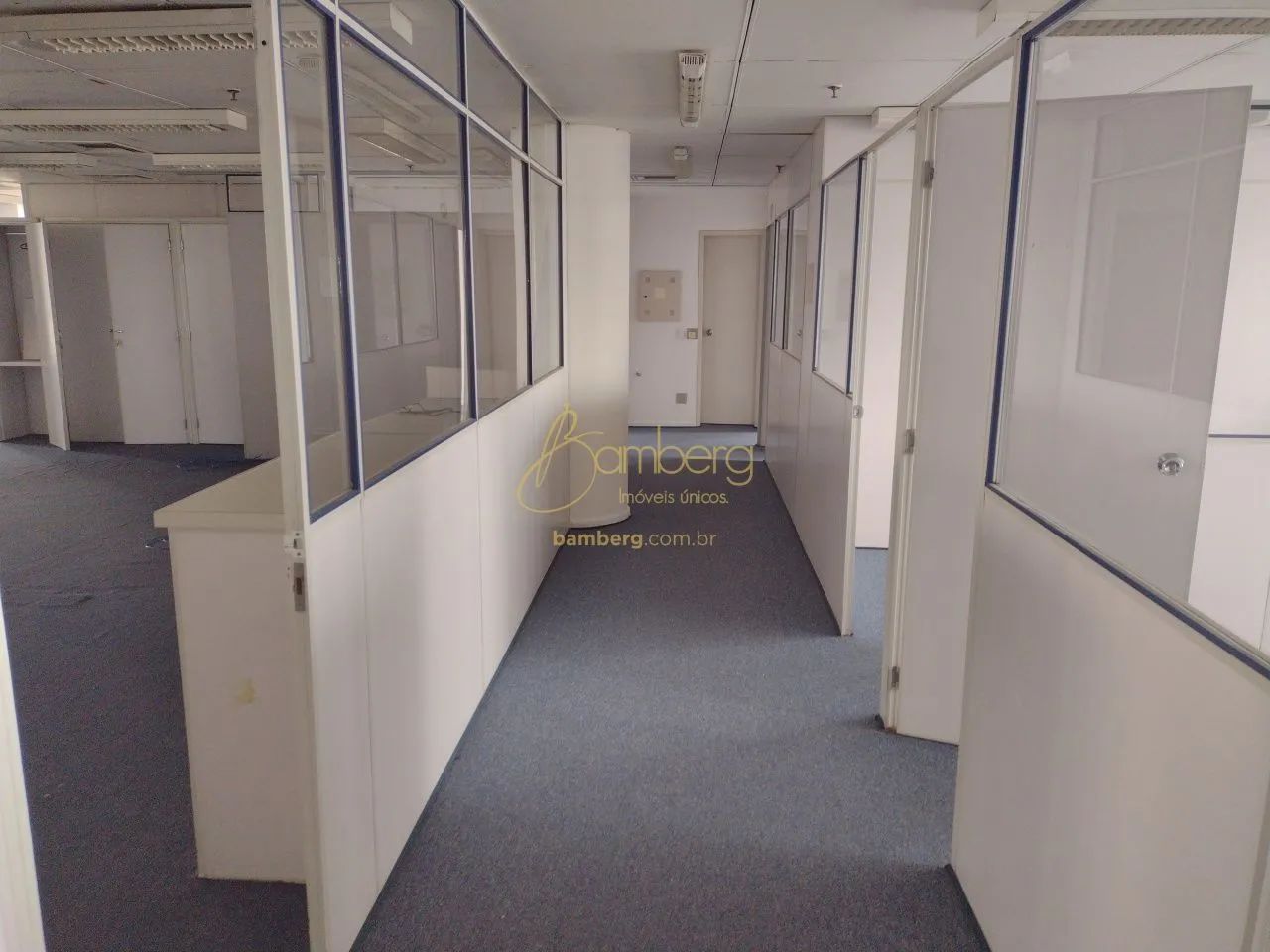 Conjunto comercial de andar todo em região privilegiada.