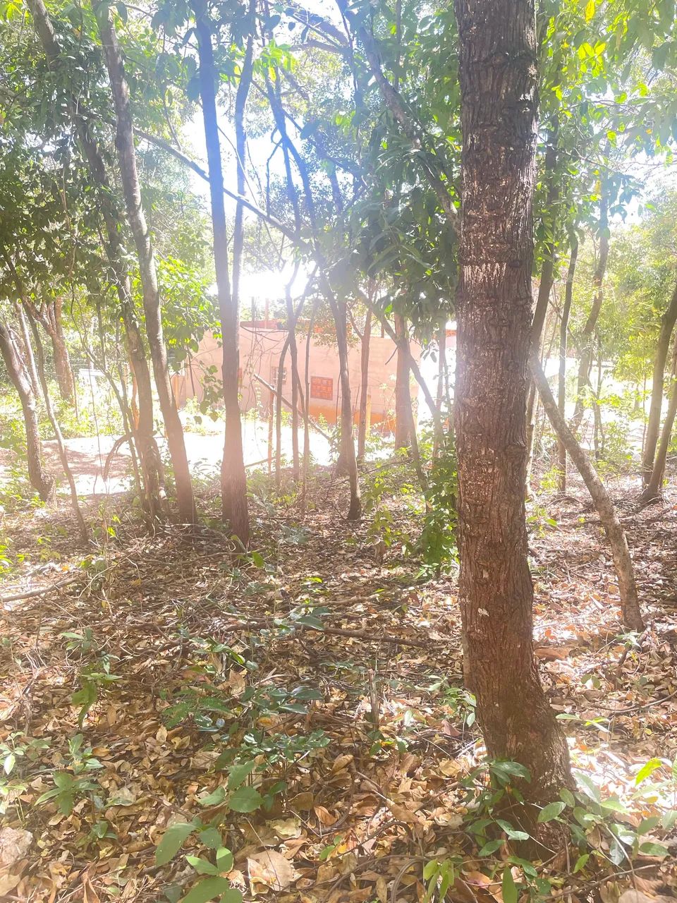 Vendo terreno - Foto 3