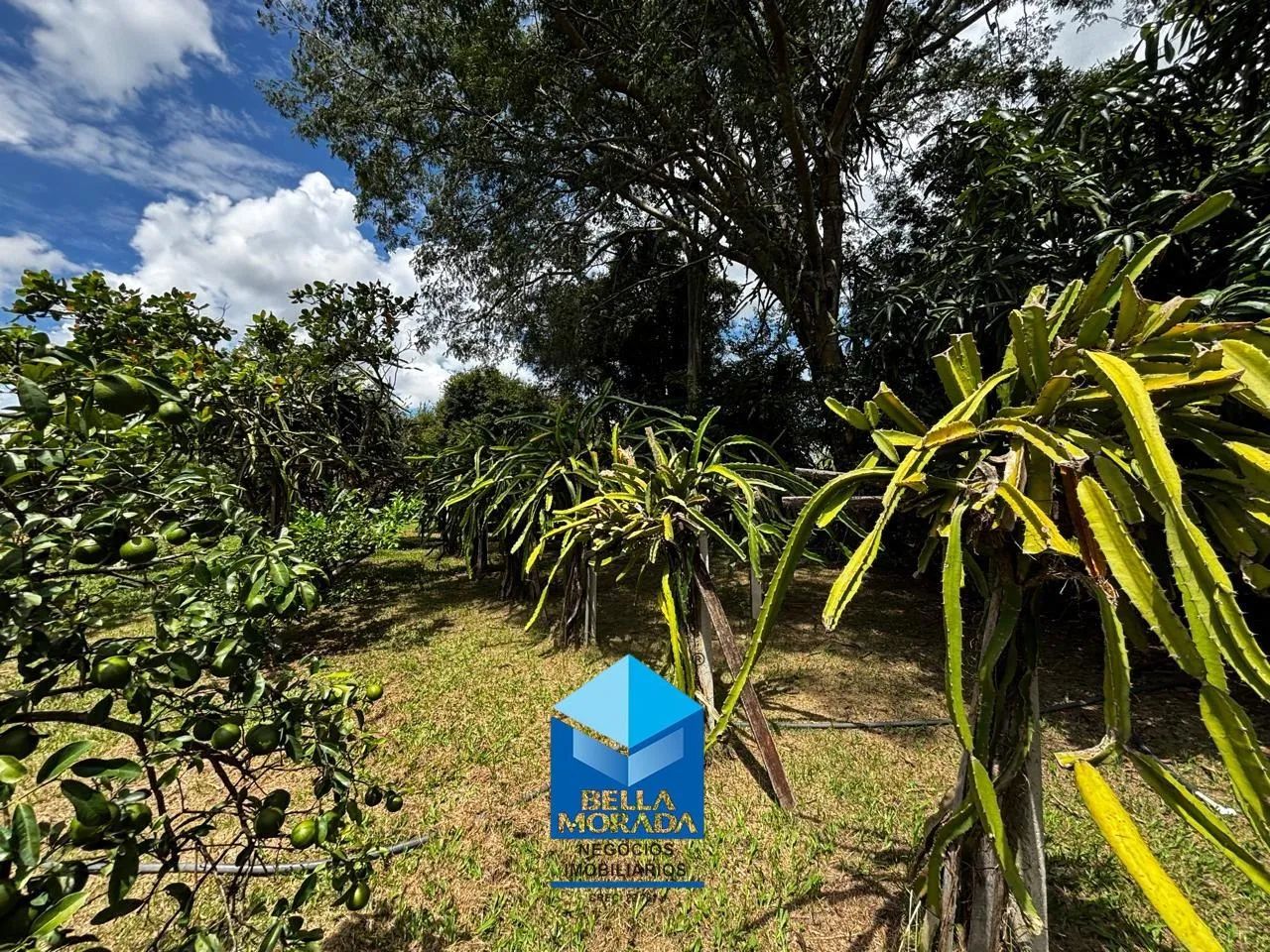 Lote á venda Condomínio Estância Eldorado - Limeira - Foto 4